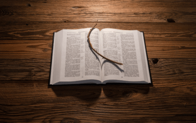 INTRODUCCIÓN: DOCTRINAS LECHE Y DOCTRINAS CARNE